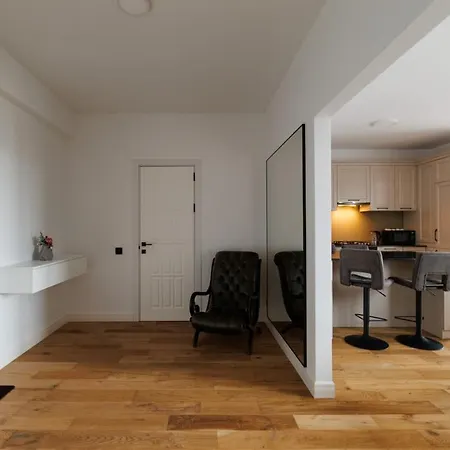 Apartment Modern With One Bedroom And Living